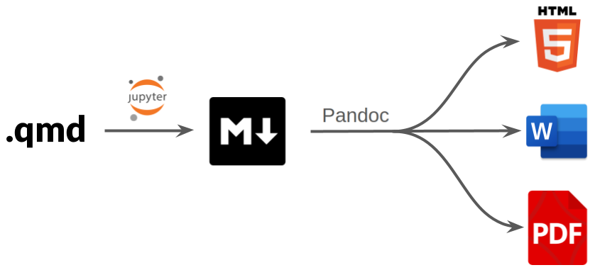 A flow chart of the Quarto rendering workflow: The qmd file is first converted to Markdown, with Jupyter used to interpret the code cells. The Markdown file can then be converted to a variety of formats, including html, docx and pdf, using Pandoc.